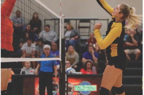 Article Image Alt Text