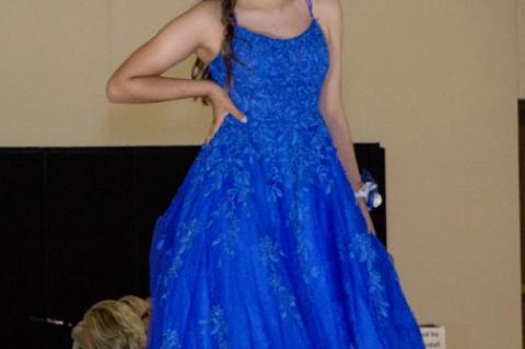 Article Image Alt Text