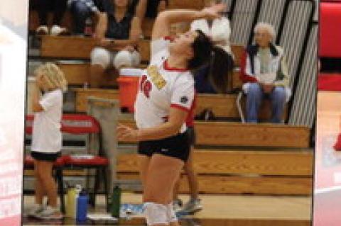 Article Image Alt Text