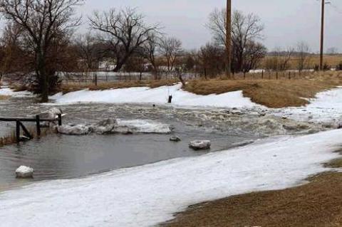 Article Image Alt Text