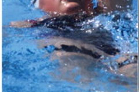 Article Image Alt Text