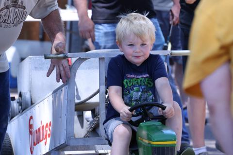 Article Image Alt Text