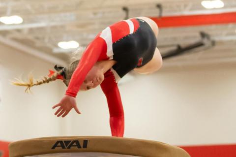 WBH GYMNASTS ARE HEADED TO STATE