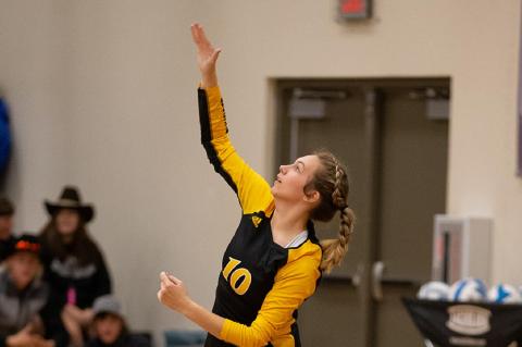 AC/DC DEFEATS SCOTLAND