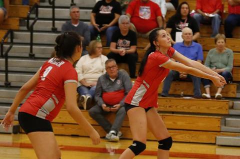 Article Image Alt Text