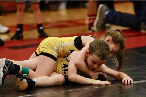 Article Image Alt Text