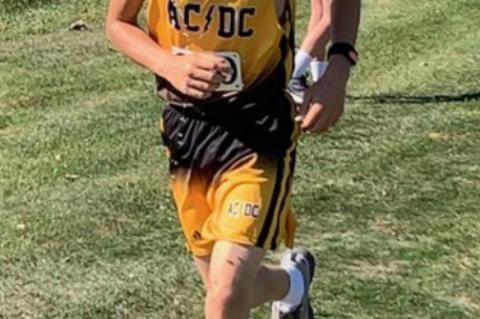 Article Image Alt Text