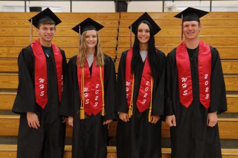 Article Image Alt Text