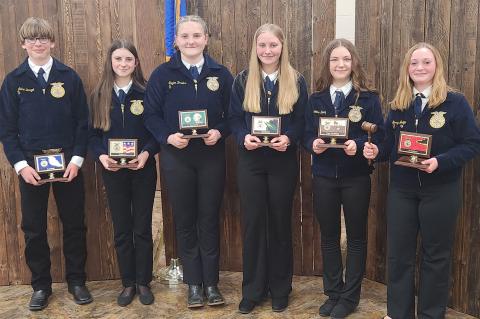 Article Image Alt Text