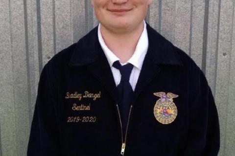 Article Image Alt Text