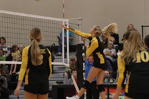 LADY THUNDER DEFEATS LADY BEARCATS