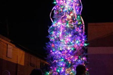 Article Image Alt Text