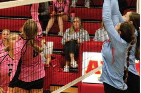 Article Image Alt Text