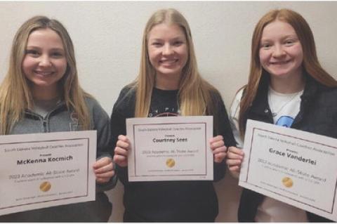 Article Image Alt Text