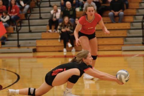 Article Image Alt Text