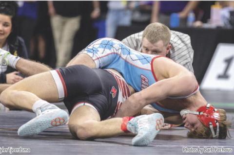 Article Image Alt Text