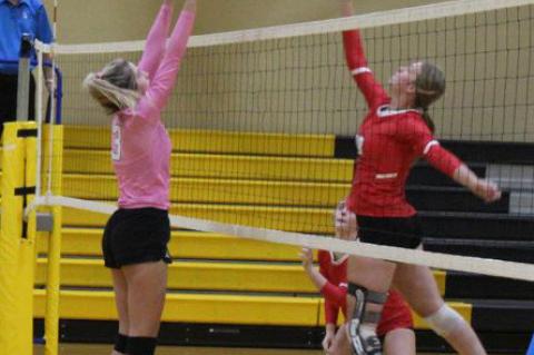 Article Image Alt Text