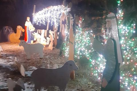 Article Image Alt Text