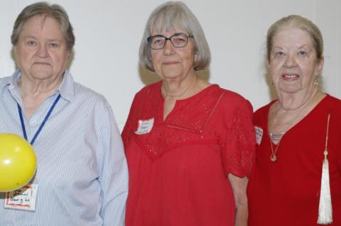 Article Image Alt Text