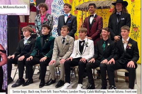 Article Image Alt Text