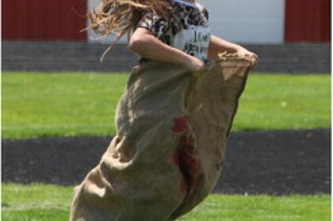 Article Image Alt Text