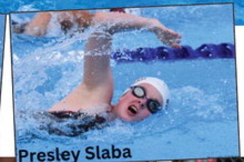 Article Image Alt Text