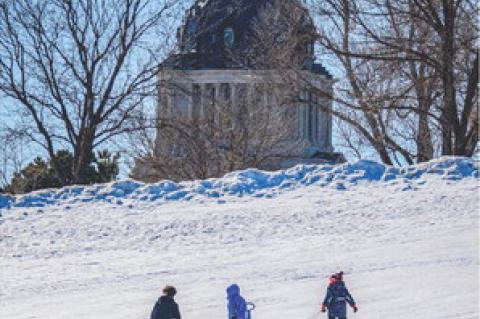 Article Image Alt Text