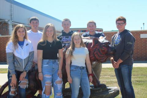 Article Image Alt Text