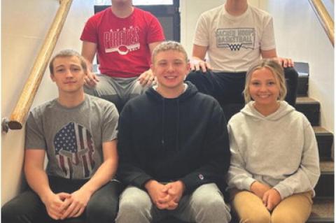 Article Image Alt Text