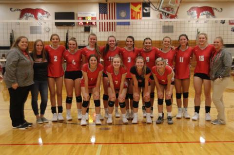 Article Image Alt Text