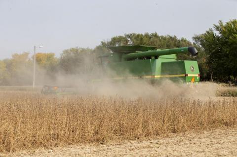 Article Image Alt Text