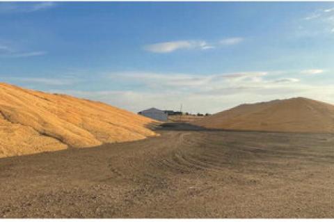 Article Image Alt Text