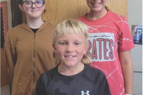 Article Image Alt Text