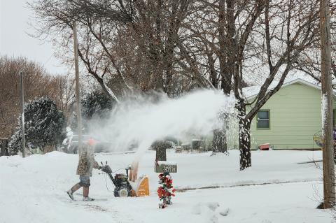 Article Image Alt Text