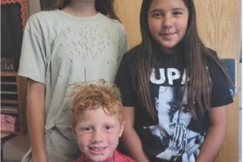 Article Image Alt Text