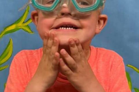 Article Image Alt Text