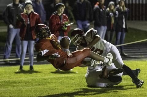 Article Image Alt Text