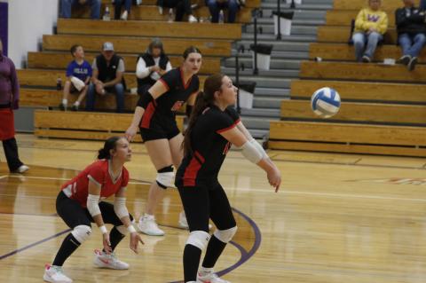 Article Image Alt Text