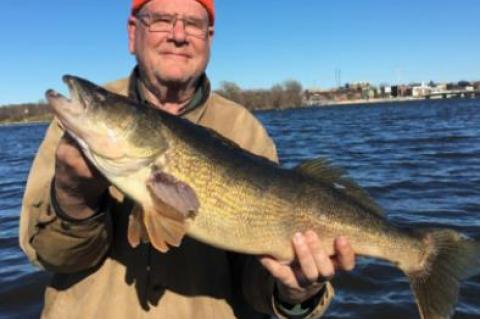 Article Image Alt Text