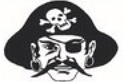 TJEERDSMA AND FATHKE PARTICIPATE AT STATE XC