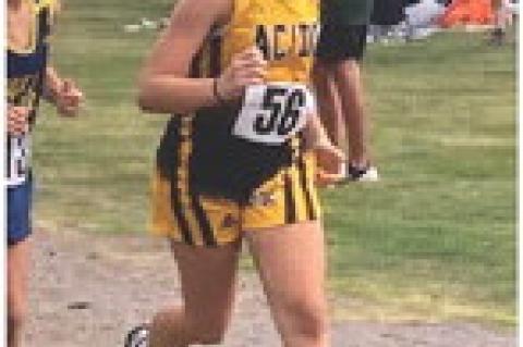 Article Image Alt Text