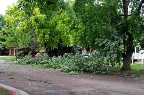 Article Image Alt Text