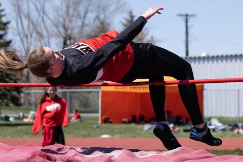 Article Image Alt Text