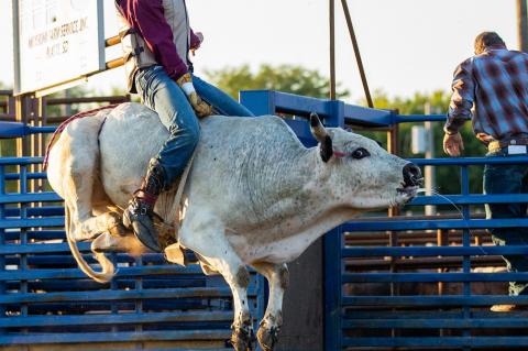 PETRIK EARNS BIG POINTS AT NORTHERN BULL RIDING EVENT