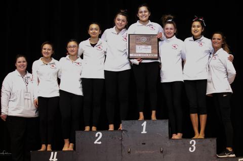WAGNER BON HOMME GYMNASTS PLACE 6TH AT STATE!