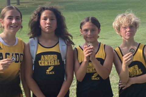 Article Image Alt Text