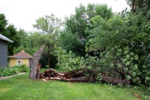 Article Image Alt Text