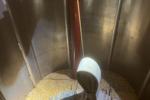 Article Image Alt Text