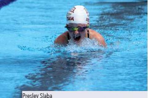 Article Image Alt Text