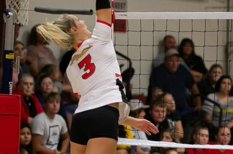 Article Image Alt Text